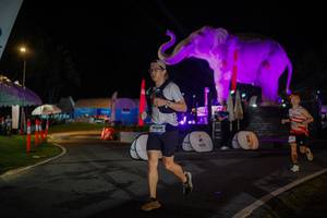 BIB: 
                            <button type="button" onclick="openModal(26552104)" class="btn btn-primary btn-sm float-right btn-popup" data-toggle="modal" data-target=".modal-high-quality">
                        <i class="fas fa-shopping-cart"></i> Add to Cart
                    </button>
                                            <button type="button" onclick="isThisMe(26552104, true)" class="btn btn-success btn-sm float-right btn-popup btn-isme hidden" data-toggle="tooltip" data-placement="bottom" title="นี่คือรูปของคุณใช่ไหม คลิกที่นี่เพื่อเอาเข้าอัลบั้ม">
                        <i class="fas fa-plus"></i> Add to album
                    </button>
                    <button type="button" onclick="isThisMe(26552104, false)" class="btn btn-warning btn-sm float-right btn-popup btn-isnotme hidden">
                        <i class="fas fa-ban"></i> Remove from album
                    </button>